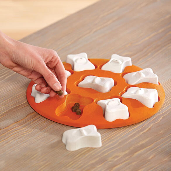 Игра-головоломка Nina Ottosson для собак Smart, 1 начинающий уровень сложности