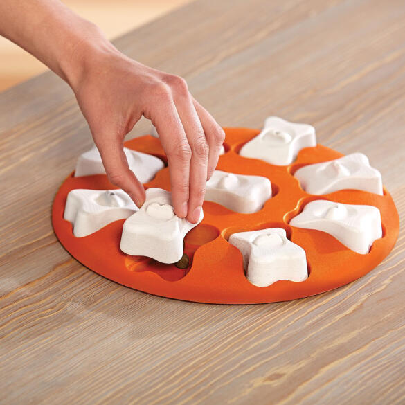 Игра-головоломка Nina Ottosson для собак Smart, 1 начинающий уровень сложности