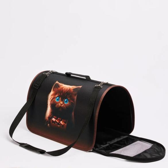 Сумка-переноска LOORI "Кот с шоколадом", 46*28*29см