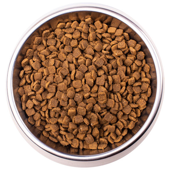 1,5кг Корм Monge VetSolution Cat Dermatosis Ветеринарная диета для кошек с заболеваниями кожи