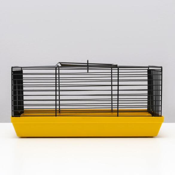 Клетка Mini для грызунов, 23*16*21см