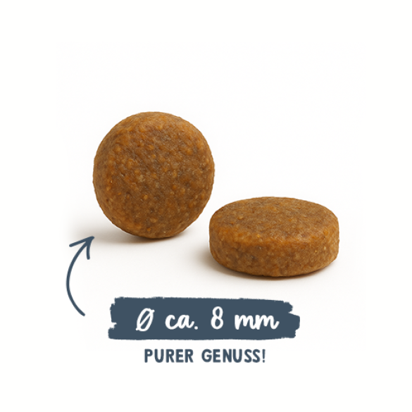 2кг Корм Bosch Sanabelle Adult mit Forelle & Blaubeeren Life для взрослых кошек с Форелью