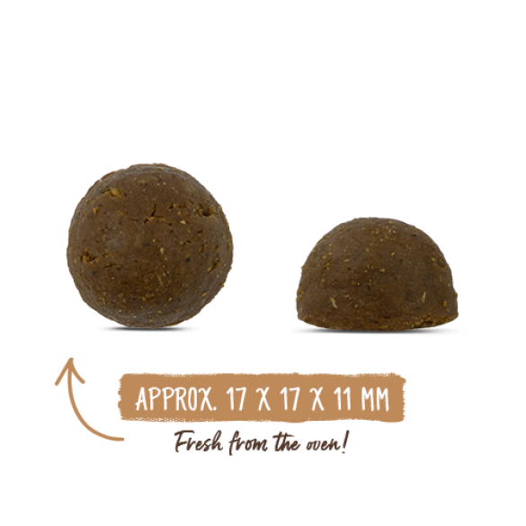 0,8кг Корм Bosch Oven Baked монопротеиновый беззерновой из печи для взрослых собак с чувствительным пищеварением с Говядиной