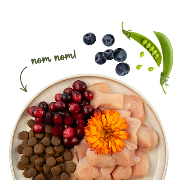 0,4кг Корм Bosch Sanabelle Grande chicken & cranberries Life для взрослых кошек крупных пород с Курицей и клюквой