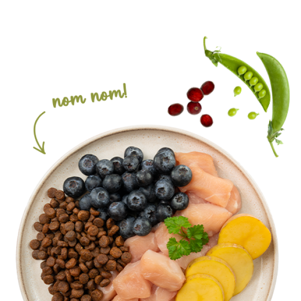 8кг Корм Bosch Sanabelle No Grain chicken & blueberries Life беззерновой для взрослых кошек с Курицей и черникой