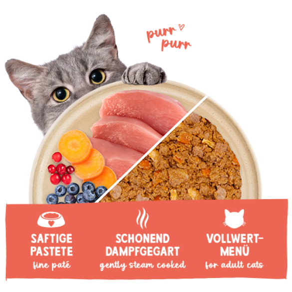 100г Влажный корм Bosch Sanabelle Freshe Mieze Nassfutter Turkey & Chicken для взрослых кошек паштет с Индейкой и курицей