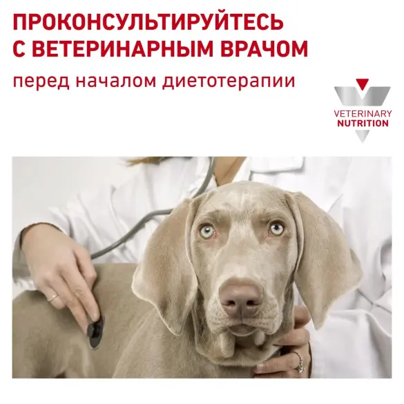 14кг Корм ROYAL CANIN Sensitivity Control Canin диета для взрослых собак при пищевой аллергии