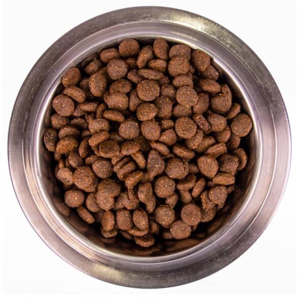 2,5кг Корм Monge Dog SP Monoprotein Adult Trout with Rice для взрослых собак всех пород c Форелью, рисом и картофелем