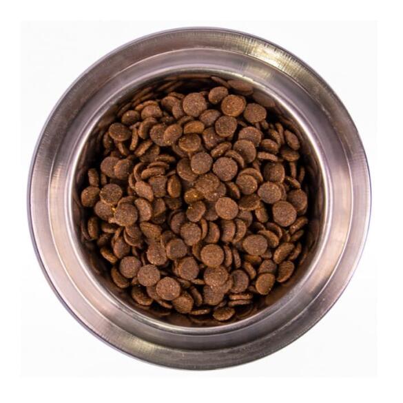 0,8кг Корм Monge Puppy&Junior SP Monoprotein Salmon/Rice для щенков всех пород с Лососем и рисом