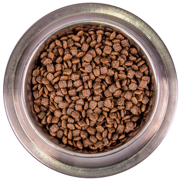 15кг Корм Monge Dog SP Monoprotein Mini Adult Salmon/Rice для взрослых собак мелких пород с Лососем и рисом