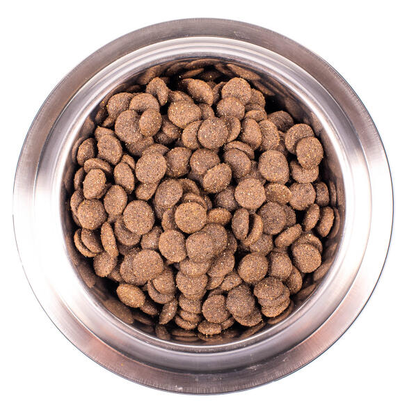 12кг Корм Monge Dog SP Monoprotein Adult Lamb/Rice для взрослых собак всех пород c Ягненком, рисом и картофелем