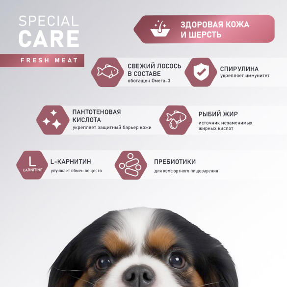 2кг Корм Award SPECIAL CARE Sensitive Skin&Coat для взрослых собак всех пород для здоровой кожи и шерсти со свежим Лососем