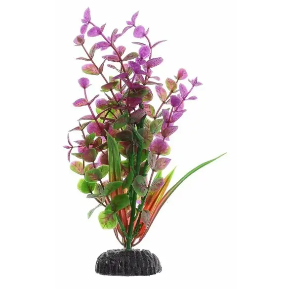 Растение пластиковое BARBUS 10см Бакопа Красная