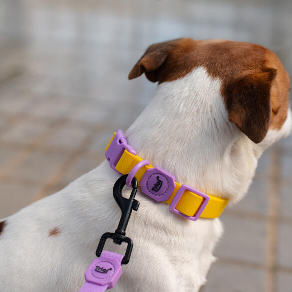 Поводок Triol из биотана "Матрица" М Сиреневый, 20*2000мм