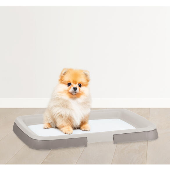 Лоток IDEA для собак под пеленку Смоки, 45*34см