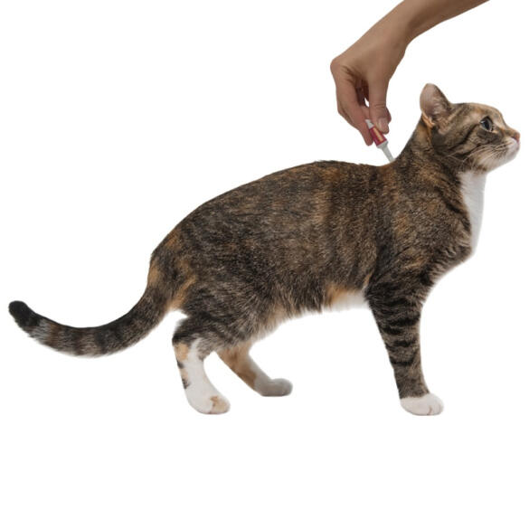 Капли на холку Bayer Профендер Elanco от глистов для кошек 5-8кг, 1шт*1,12мл