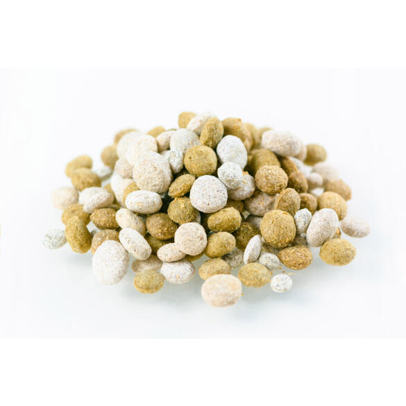 30г Лакомство ТОРТИЛА "Витаминчик" для водяных черепах