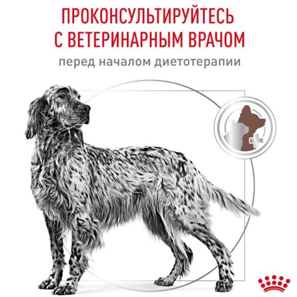 15кг Корм ROYAL CANIN Gastrointestinal диета для взрослых собак при нарушении пищеварения