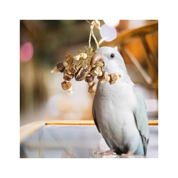 Игрушка BONITAPET для птиц "Леший", 16*10см