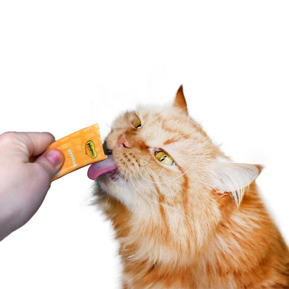 15г*4шт Крем-лакомство Мнямс для кошек с Курицей (срок 22.07.2026)