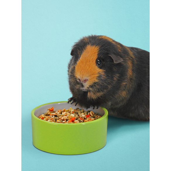 Корм Little One для морских свинок, 2,3кг