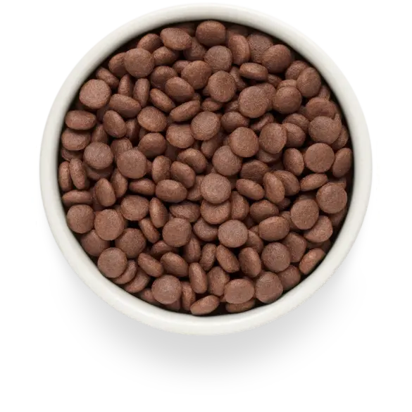 3кг Корм Grandorf Dog Fresh Adult Medium & Maxi для взрослых собак средних и крупных пород с Ягненком и бататом