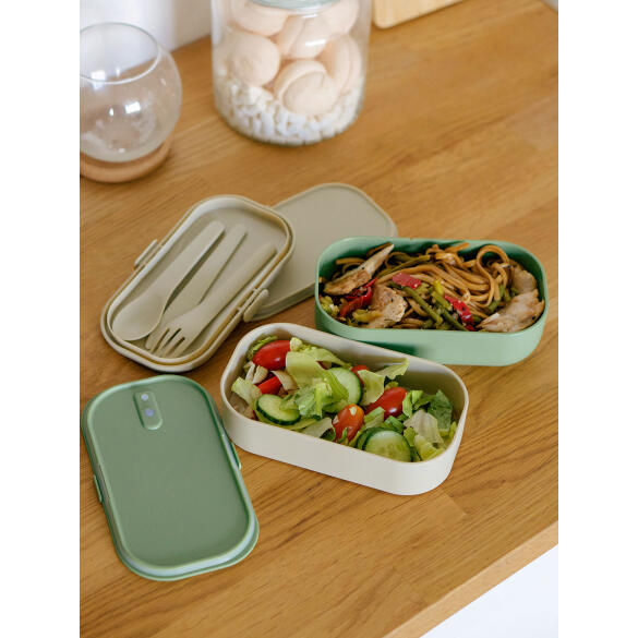 Ланч-бокс Арктика Зелёный/Бежевый, 1350мл