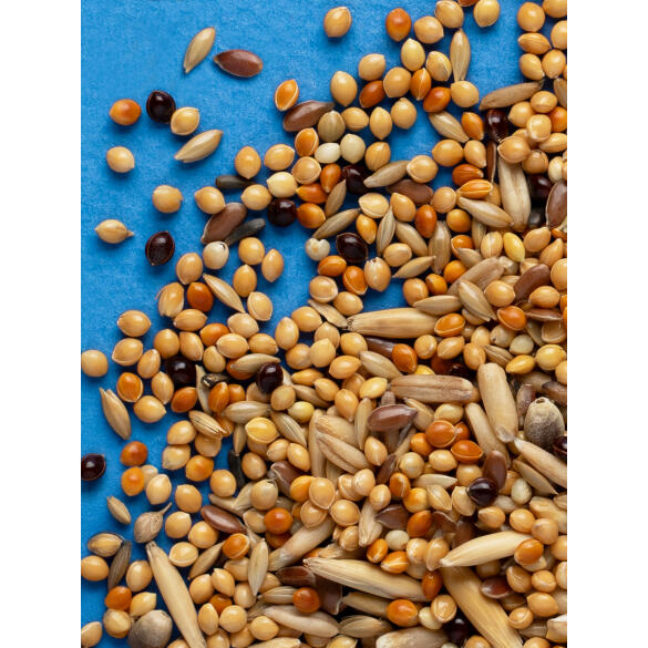 3кг Корм RIO Budgies для волнистых попугаев