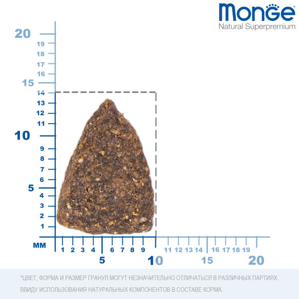 2,5кг Корм Monge Dog SP Monoprotein Adult Salmon/Rice для взрослых собак всех пород с Лососем и рисом (дефект упаковки)