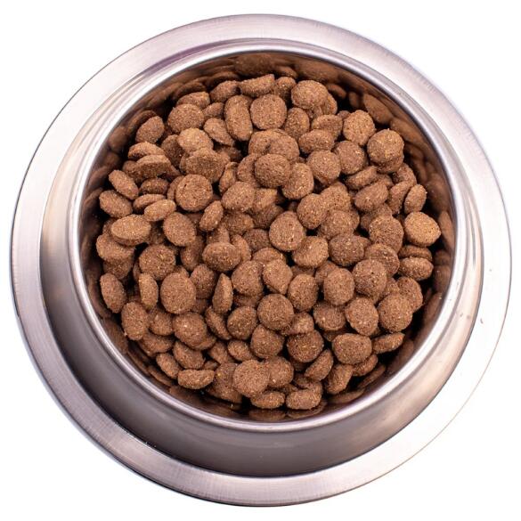20кг Корм Gemon Dog Adult LAMB / RICE для взрослых собак всех пород с Ягненком и рисом (дефект упаковки)