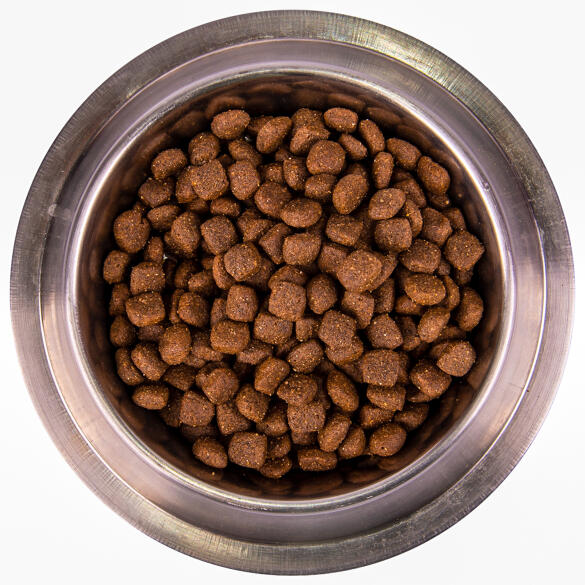 2,5кг Корм Monge Dog SP Monoprotein Adult Duck/Rice для взрослых собак всех пород с Уткой и рисом (дефект упаковки)