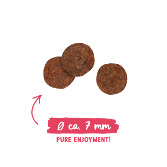 2кг Корм Bosch Sanabelle Adult Huhn & Blaubeeren Life для взрослых кошек с Курицей (дефект упаковки)