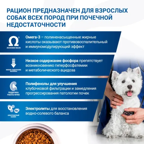 2кг Корм Monge VetSolution Dog Renal Oxalate Ветеринарная диета для собак с почечной недостаточностью, профилактика МКБ оксалатного типа