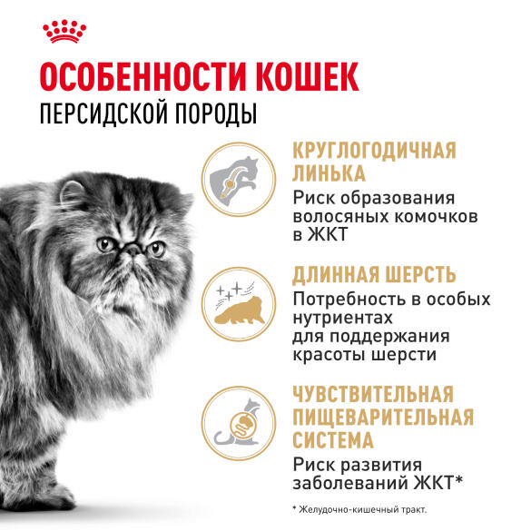 2кг Корм ROYAL CANIN Persian для взрослых Персидских кошек старше 12 месяцев (срок до 20.07.2026)