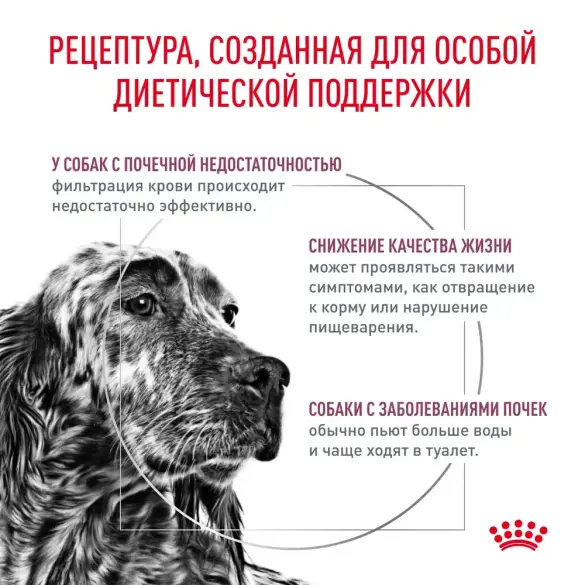 2кг Корм ROYAL CANIN Renal Select Canine диета для взрослых собак с хронической болезнью почек