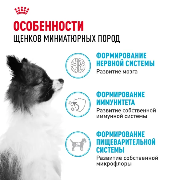 3кг Корм ROYAL CANIN X-Small Puppy для щенков миниатюрных пород до 10 месяцев