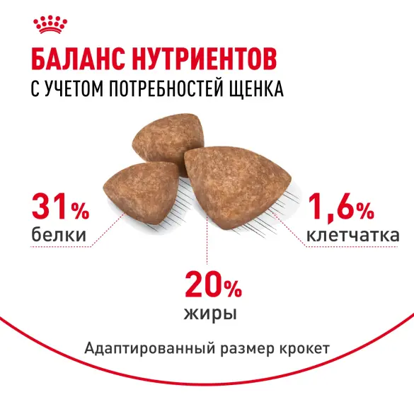 3кг Корм ROYAL CANIN X-Small Puppy для щенков миниатюрных пород до 10 месяцев