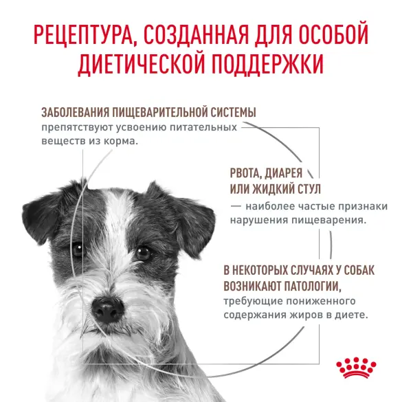 1кг Корм ROYAL CANIN Gastrointestinal Low Fat Small Dog диета для взрослых собак мелких пород при нарушениях пищеварения