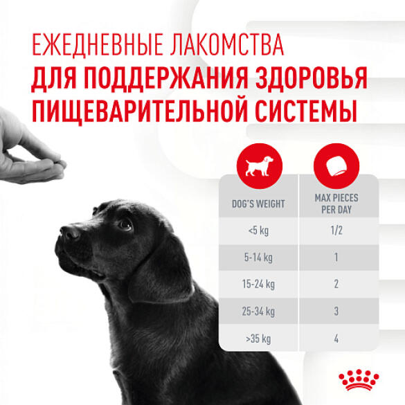 100г Лакомство Royal Canin Dog Immunity&Digestion Puppy для щенков для улучшения пищеварения и укрепления иммунитета