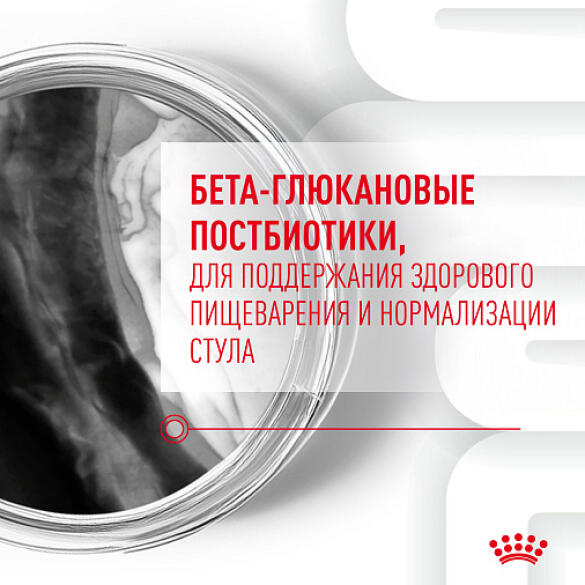 100г Лакомство Royal Canin Dog Immunity&Digestion Puppy для щенков для улучшения пищеварения и укрепления иммунитета