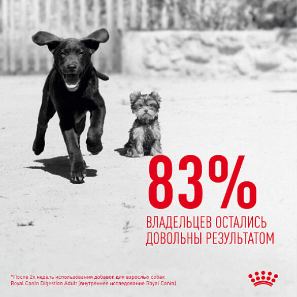 100г Лакомство Royal Canin Dog Immunity&Digestion Puppy для щенков для улучшения пищеварения и укрепления иммунитета