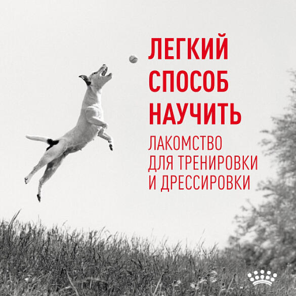 110г Лакомство Royal Canin Training Treats для дрессировки собак