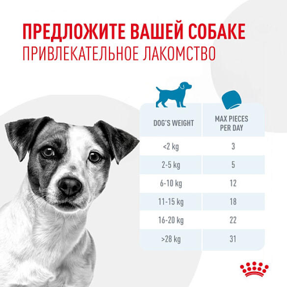 110г Лакомство Royal Canin Training Treats для дрессировки собак