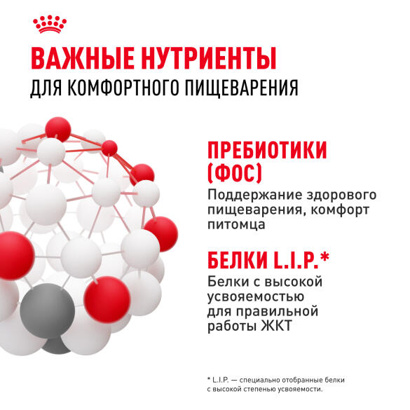 1,2кг Корм ROYAL CANIN Sensible для взрослых кошек с чувствительным пищеварением (срок до 21.08.2026)