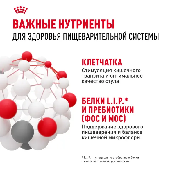 1кг Корм ROYAL CANIN Mini Digestive Care для взрослых собак мелких размеров с чувствительным пищеварением