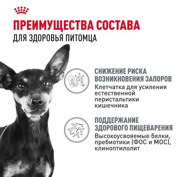 3кг Корм ROYAL CANIN Mini Digestive Care для взрослых собак мелких размеров с чувствительным пищеварением