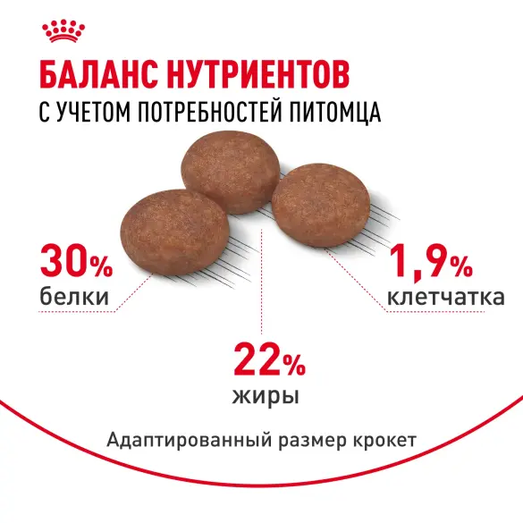 8кг Корм ROYAL CANIN Mini Digestive Care для взрослых собак мелких размеров с чувствительным пищеварением