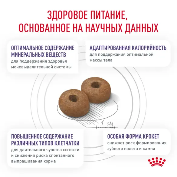 0,8кг Корм ROYAL CANIN Neutered Adult Small Dog для стерилизованных собак мелких пород, весом до 10кг