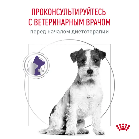 0,8кг Корм ROYAL CANIN Neutered Adult Small Dog для стерилизованных собак мелких пород, весом до 10кг
