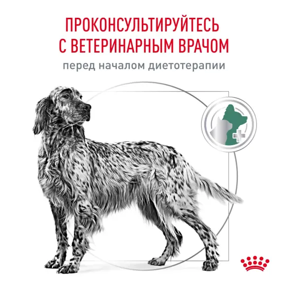 12кг Корм ROYAL CANIN Satiety Weight Management диета для взрослых собак при избыточном весе